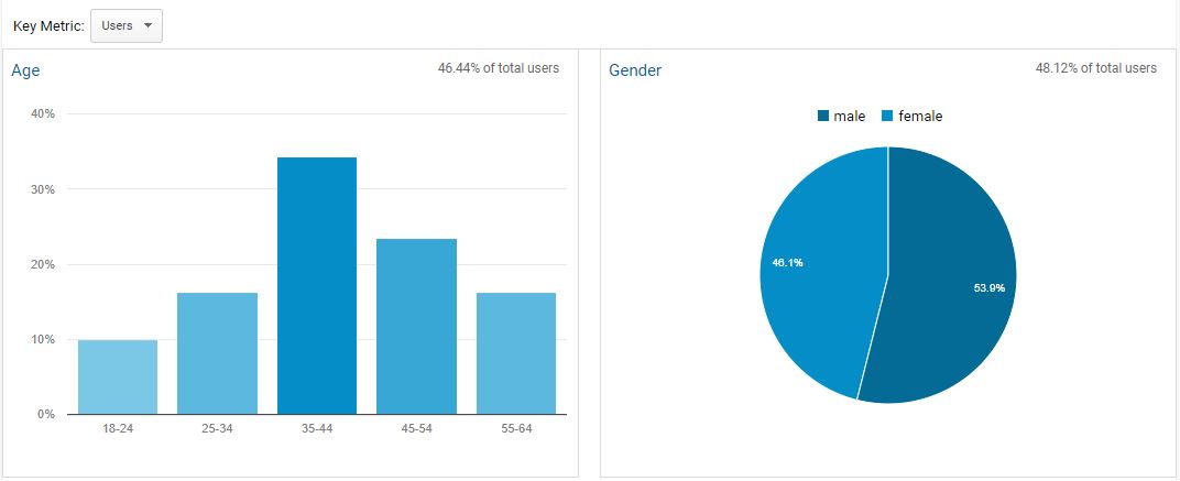 google analytics demographic data for marketing personas